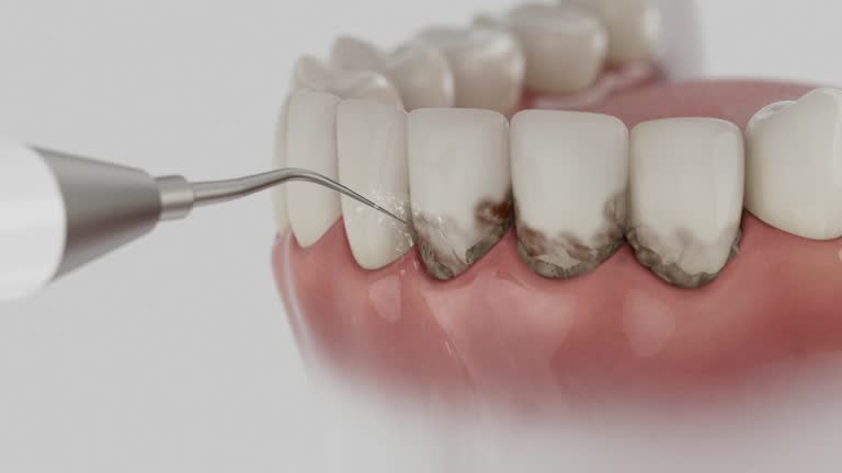 Reliable Dental contractor in Fayetteville, NC by Dentist Open Now